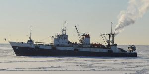 Рыбный гигант зашел в свободный порт Владивосток