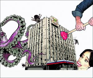 Присоски атакуют мэрию Владивостока: можно ли от них избавиться?