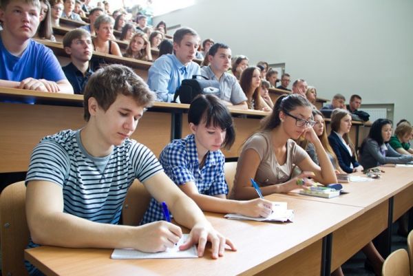 «Они не способны работать, потому что не знают как»