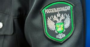 «Сначала «прессануть» проверкой, а потом вымогать»